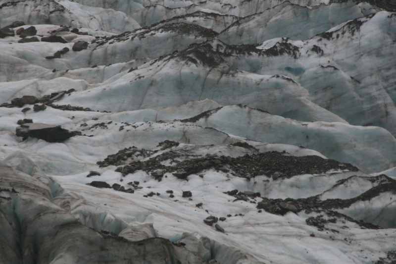 Nieuw-Zeeland 2011 - 1430